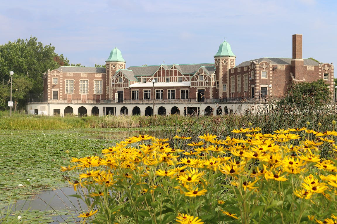 Tall yellow flowers appear in front of a large fieldhouse.
